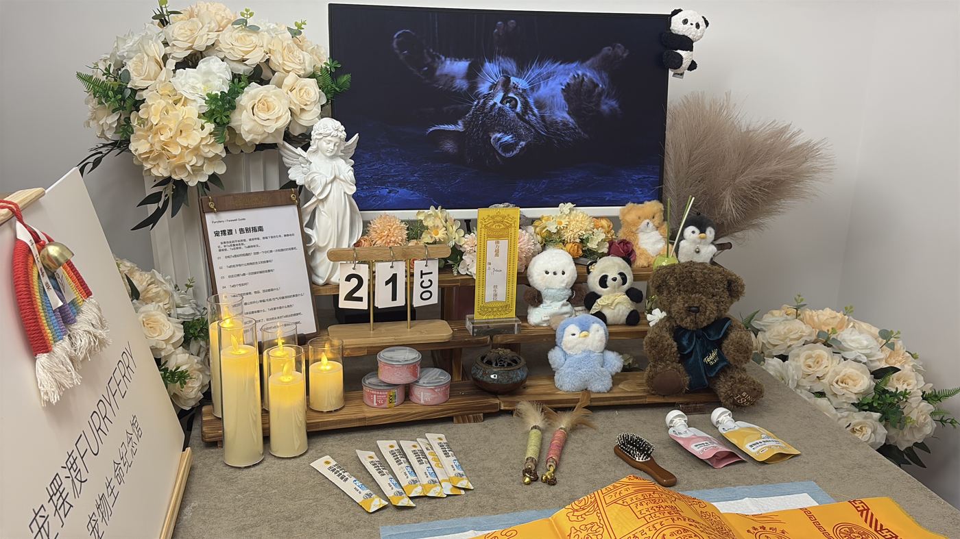 呼和浩特宠物告别厅布置：如何给青城家属一个体面的告别