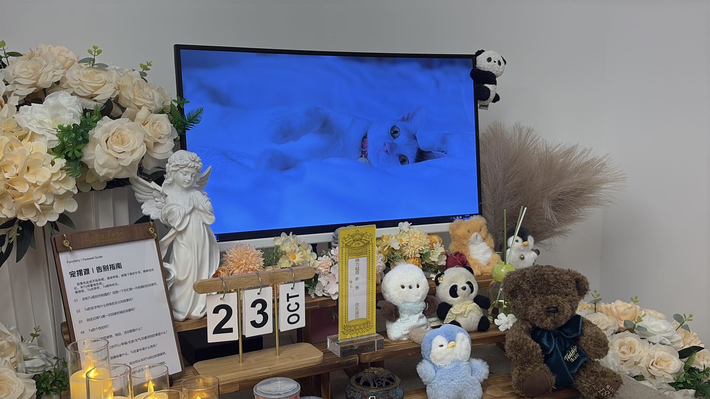 哪些东西可以自己带