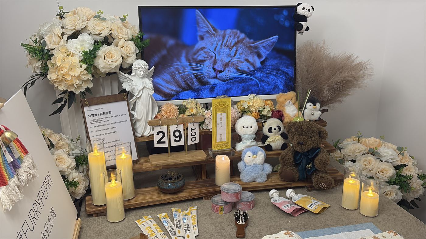 宠物纪念品怎么选？呼和浩特常见纪念方式盘点